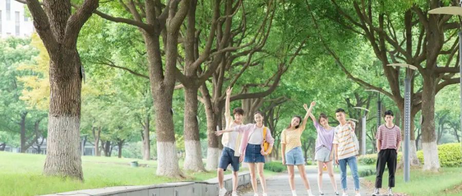 2025年上海市高職單招考試報名條件與志愿填報等方面有變化嗎？