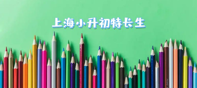 小紅如果有繪畫的特長，在上海申請初中學位會有相應的政策嗎？