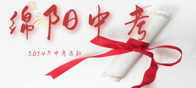 綿陽市2024年中考成績