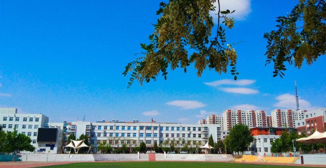 丹東遼寧石化職業(yè)技術(shù)學院