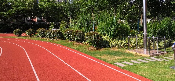 上海奉賢區(qū)青村小學