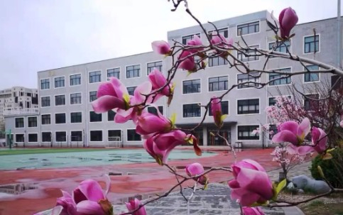 北京市第二十四中學(xué)