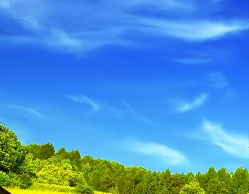 深圳龍崗區(qū)特殊教育學(xué)校