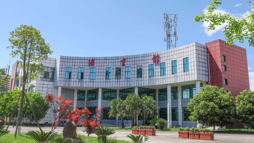 成都四川幼兒師范高等專(zhuān)科學(xué)校