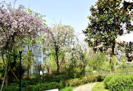 成都工貿(mào)職業(yè)技術(shù)學(xué)院