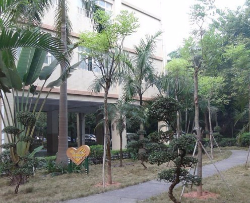 東莞茶山鎮(zhèn)第三小學(xué)