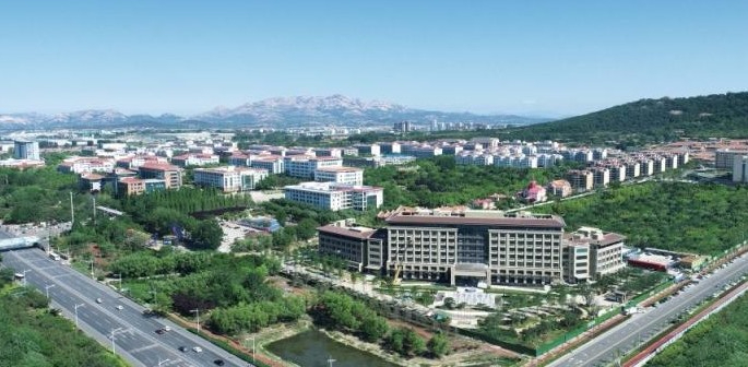 日照山東外國(guó)語(yǔ)職業(yè)技術(shù)大學(xué)