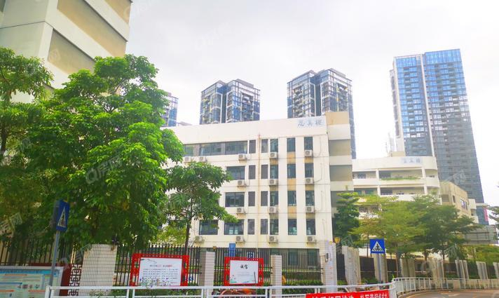 深圳龍華區(qū)教育科學(xué)研究院附屬學(xué)校