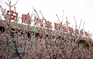 合肥安徽汽車職業(yè)技術(shù)學(xué)院