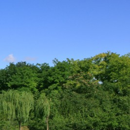 廣州清埔初級中學(xué)