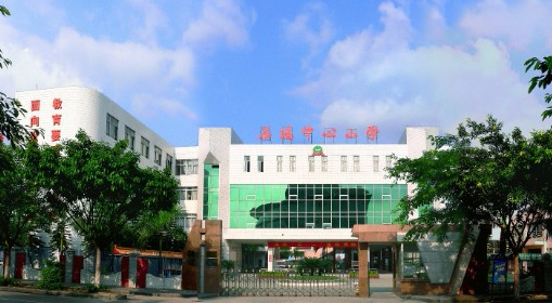 東莞石碣鎮(zhèn)中心小學(xué)