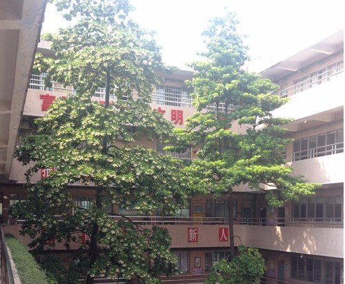 東莞道滘南城小學