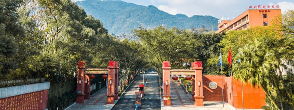 重慶四川外國語大學