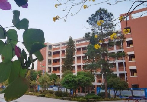 惠州惠陽區(qū)沙田鎮(zhèn)中心小學(xué)