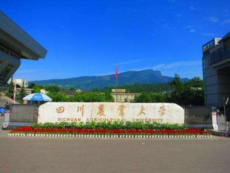 雅安四川農(nóng)業(yè)大學(xué)
