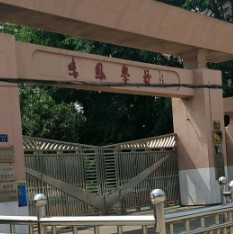 東莞鳴鳳小學(xué)