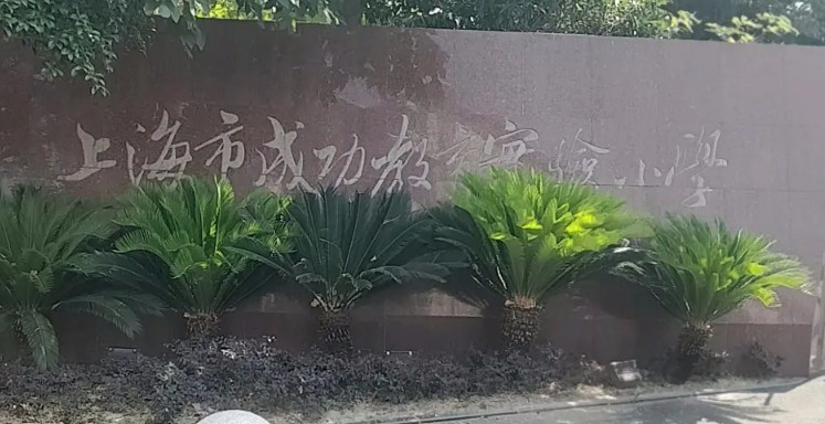 上海成功教育實驗小學(xué)