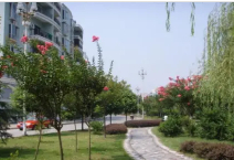 重慶市墊江縣第一職業(yè)中學(xué)校