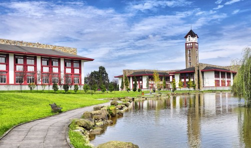 成都東軟學(xué)院