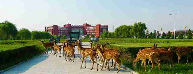 呼和浩特內(nèi)蒙古師范大學(xué)